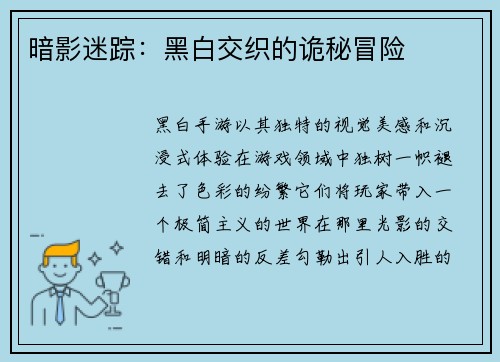暗影迷踪：黑白交织的诡秘冒险